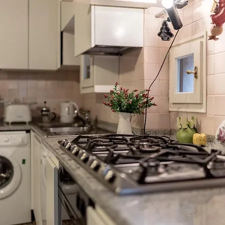 Accademia Terrazza Apartment *